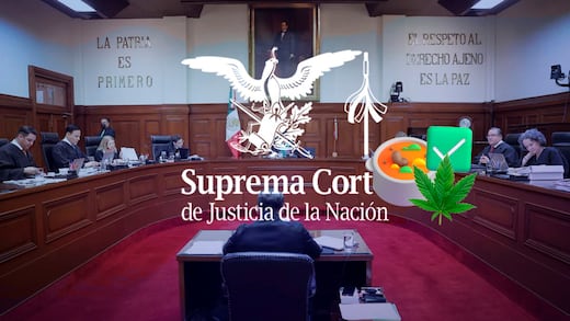 SCJN permite autoconsumo recreativo de cannabis en alimentos; esto implica