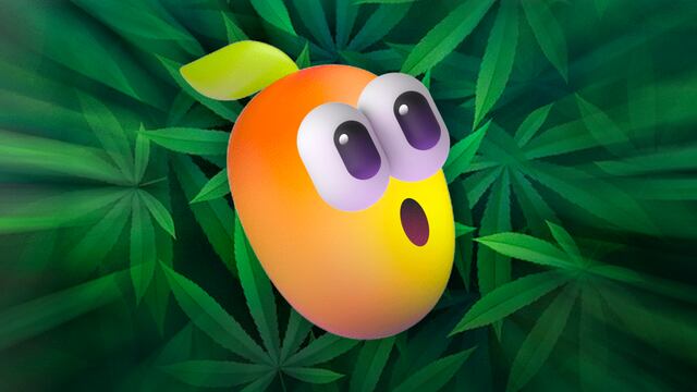 Quienes fuman mariguana tienen cierta admiración por el mango