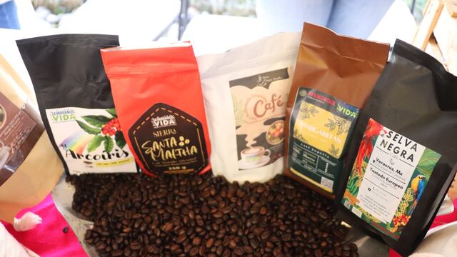 Sembrando Vida de la Secretaría de Bienestar quiere rescatar la vocación cafetalera de México