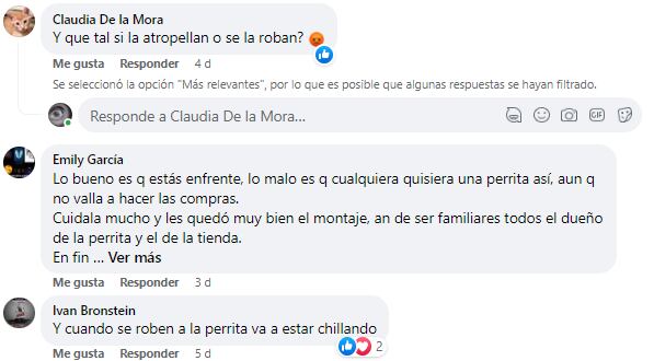 Reacciones a la perrita que fue enviada a comprar Cheetos