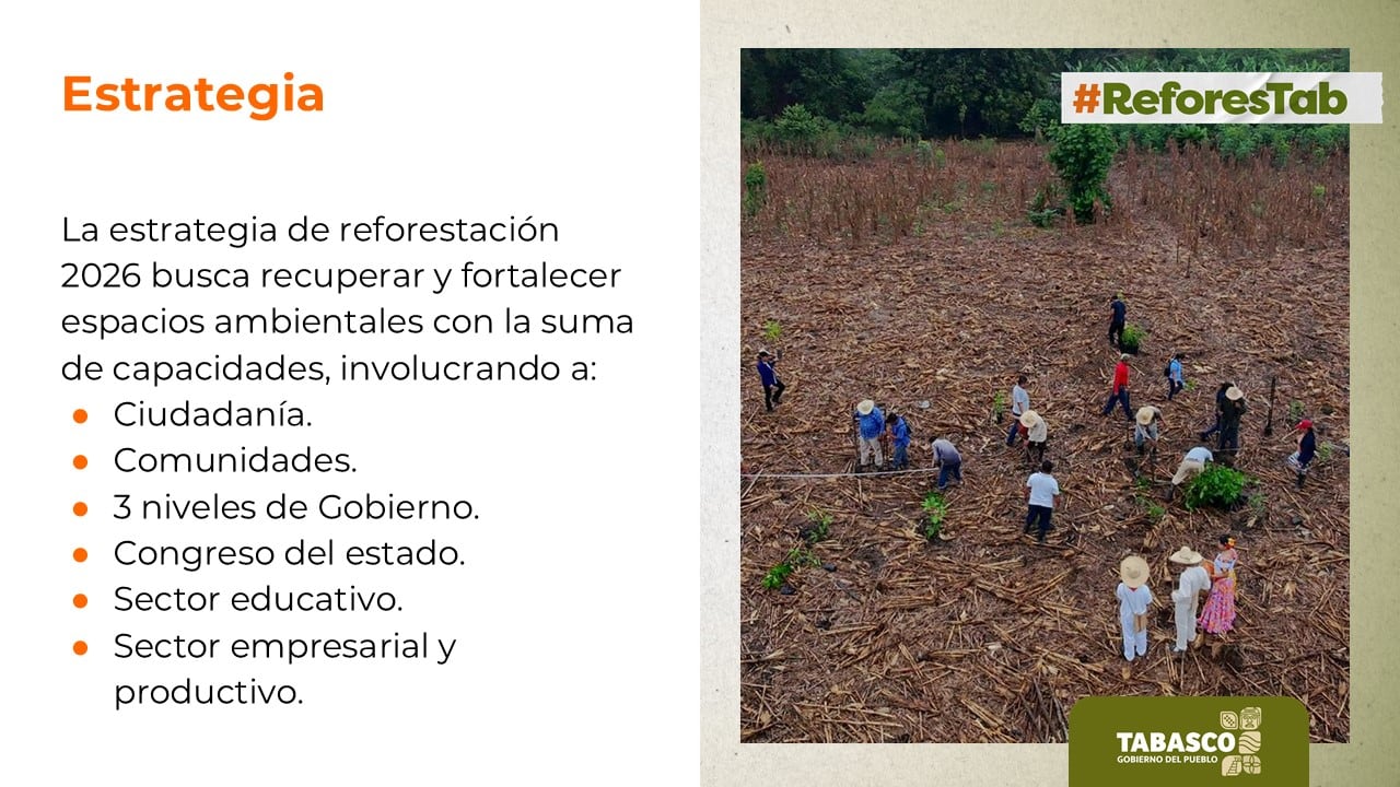 Javier May llama a reforestar Tabasco con 2.5 millones de plantas