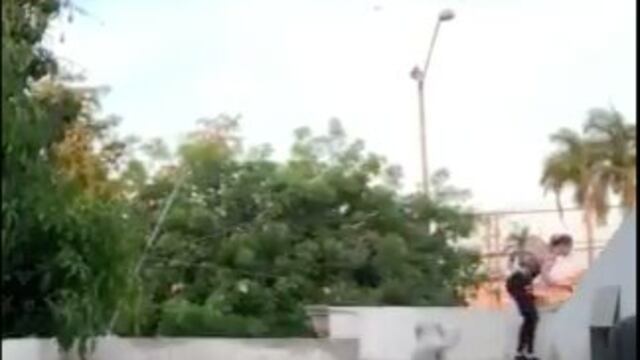 Perro salta al vacío