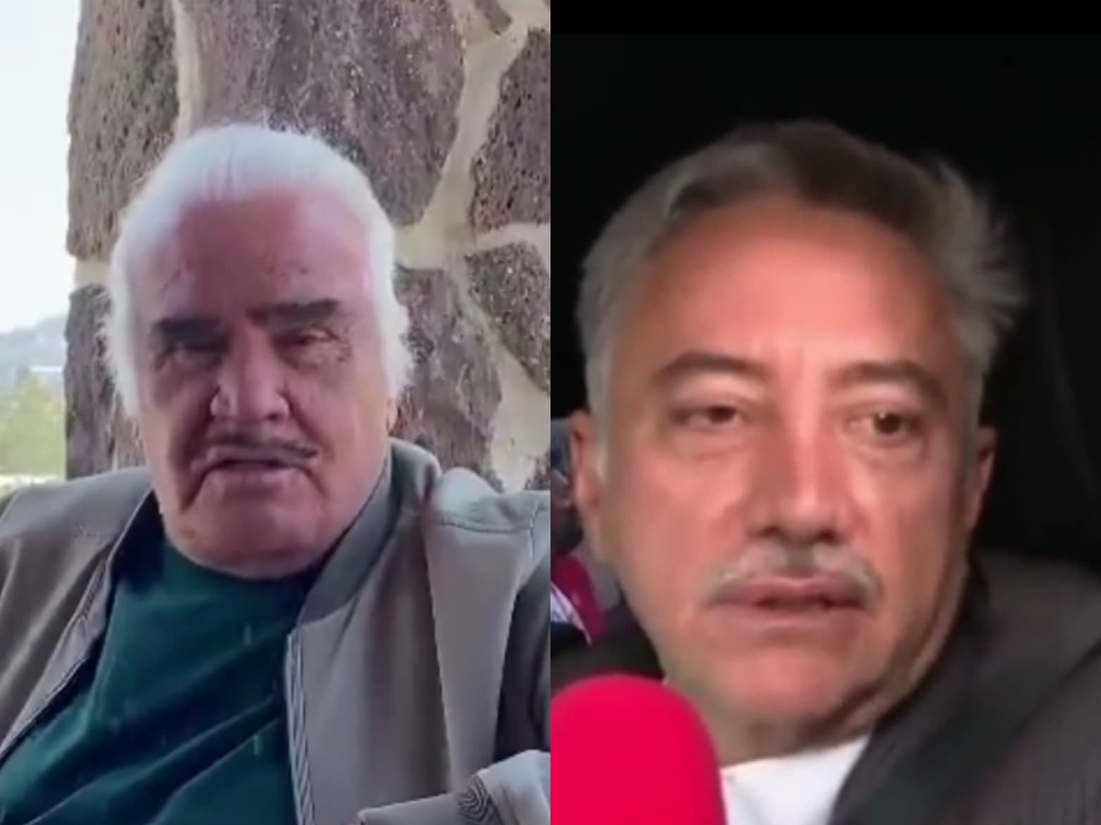 Vicente Fernández y Gerardo Fernández.