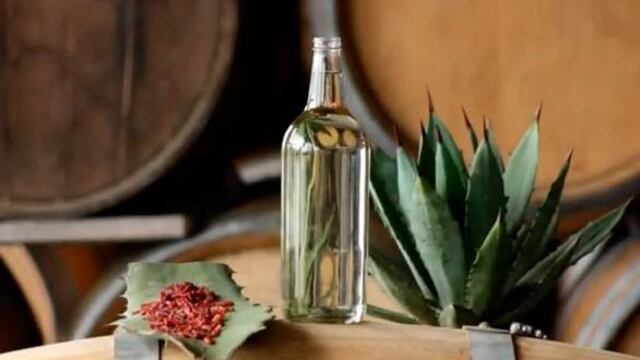 Con esta norma algunos productores mezcaleros se verán afectados,