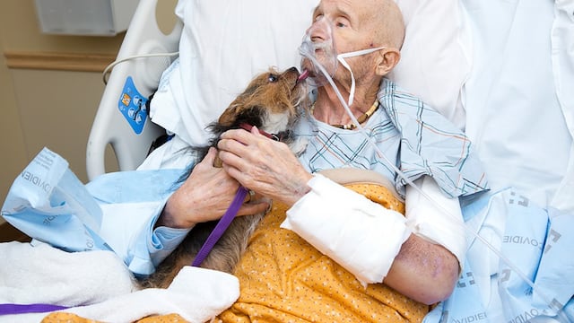 Así fue la última reunión entre "Patch" y su dueño.