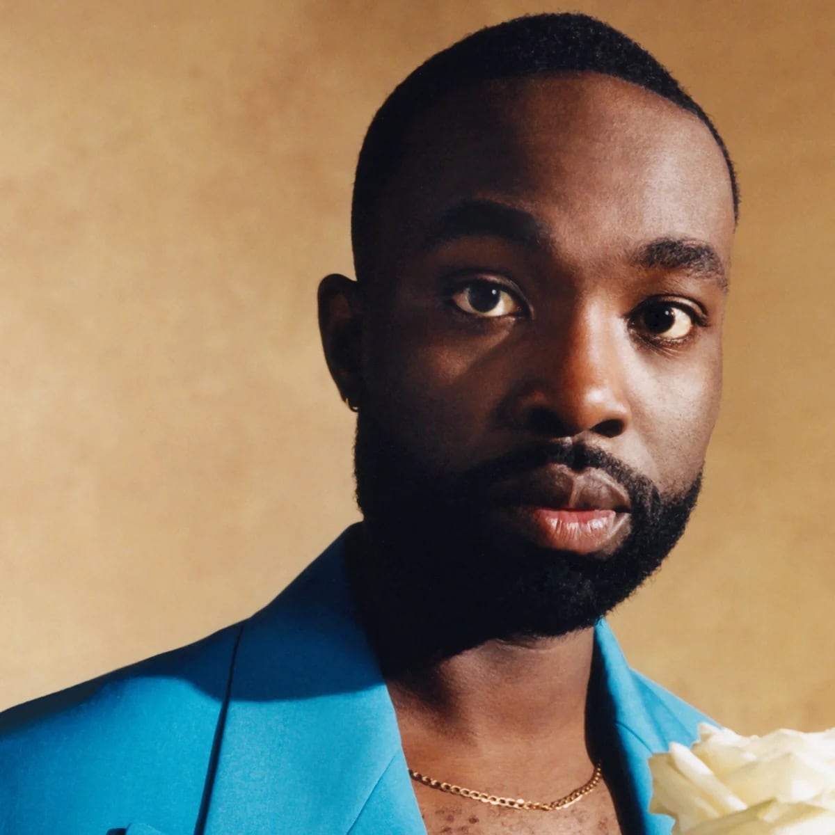 ¿Quién es Paapa Essiedu? El actor británico que podría encarnar a Severus Snape en la serie de Max