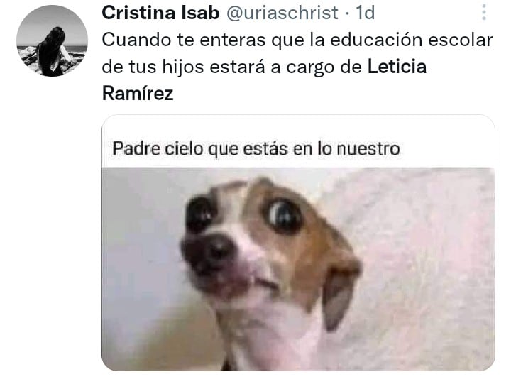 Meme Leticia Ramírez