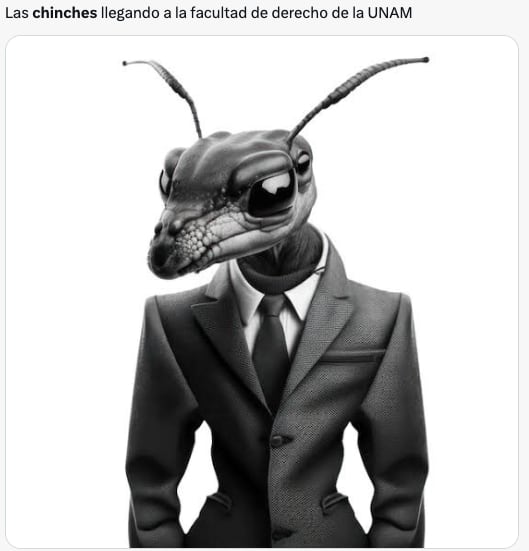 Plaga de chinches de la UNAM en CDMX desata los memes ansiosos de usuarios
