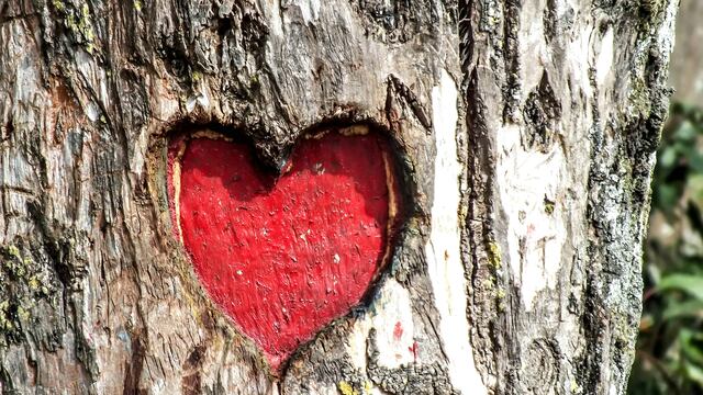 ¿Qué es la teoría de febrero de TikTok?