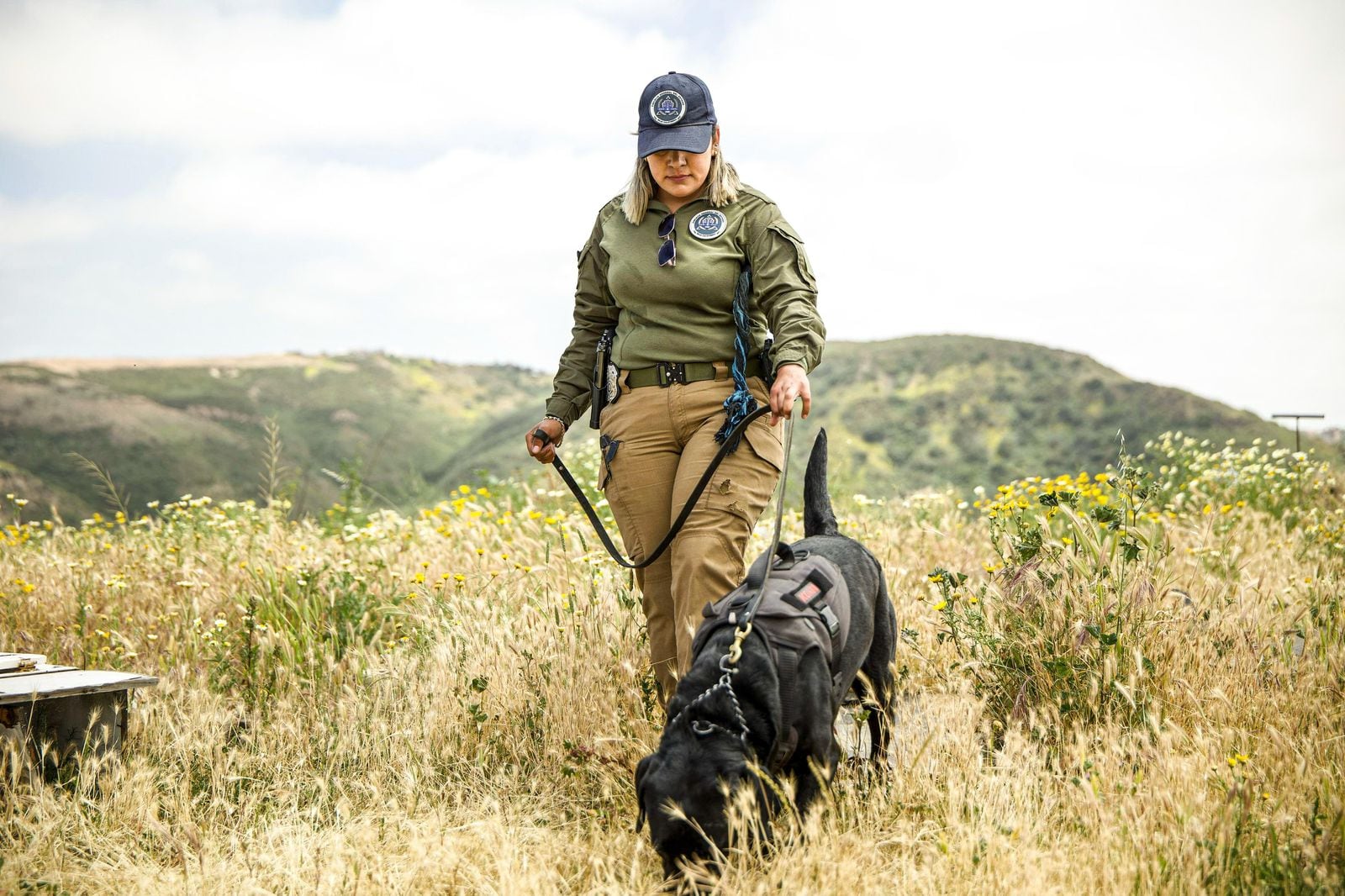 Autoridades de Baja California refuerzan búsqueda de personas no localizadas en el Cañón de las Carretas.