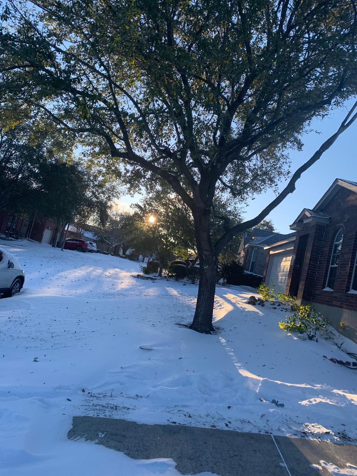 Nevadas en Texas