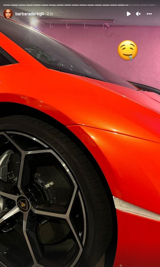 Bárbara de Regil presume Lamborgini en salida con Alejandro Fernández.