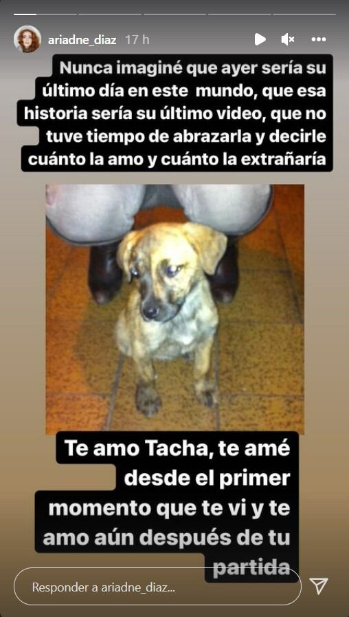 Ariadne Díaz recuerda a su perrita