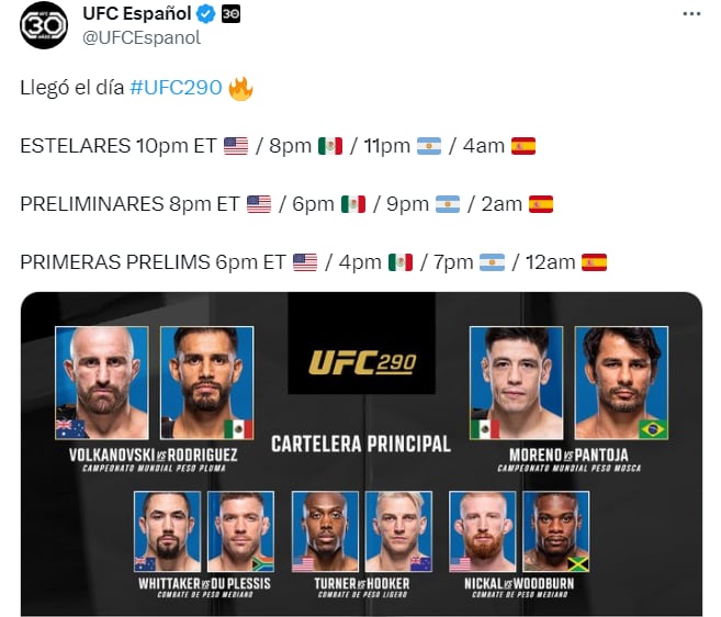 UFC 290