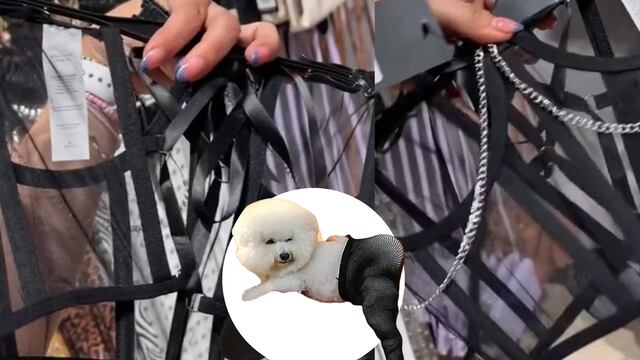 Te decimos cuánto cuesta el corset viral de Cuidado con el Perro.