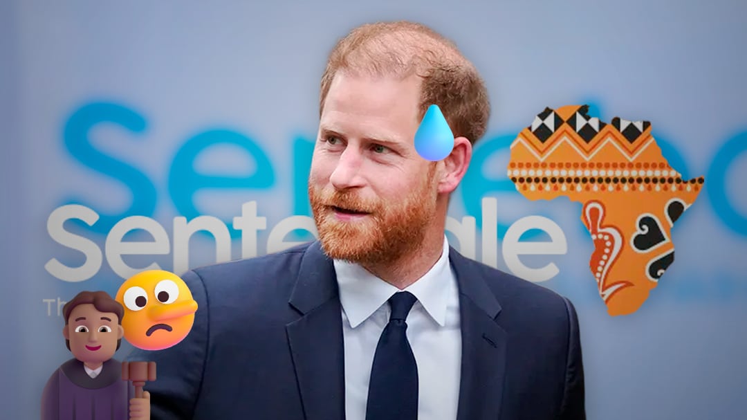 ONG vinculada al príncipe Harry lo demanda por difamación