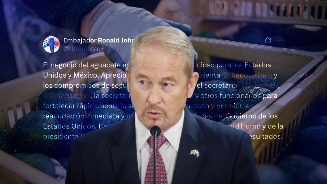 Ronald Johnson respalda seguridad en Michoacán para reactivar exportación de aguacate
