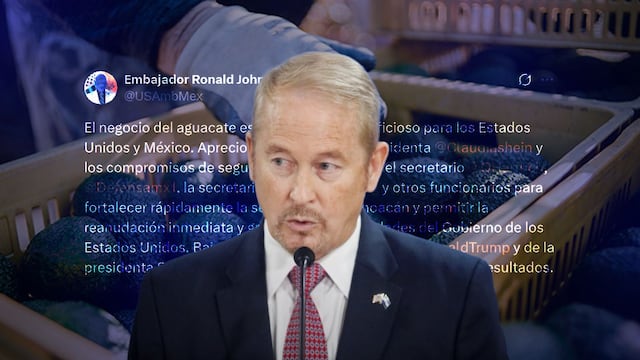 Ronald Johnson respalda seguridad en Michoacán para reactivar exportación de aguacate