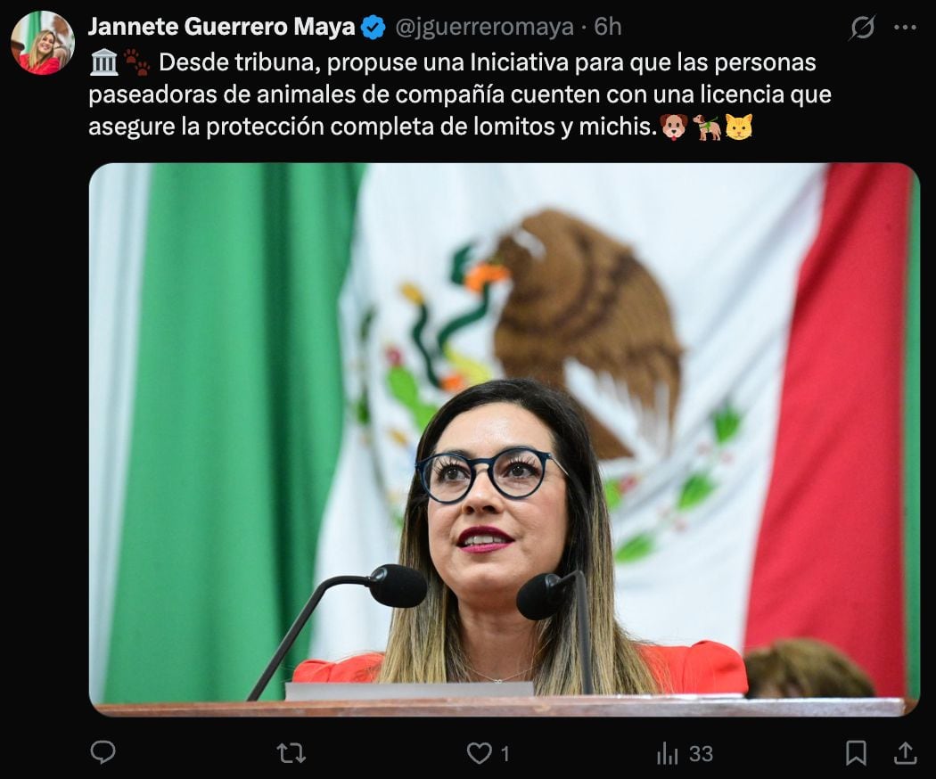 Licencia para paseadores de perros en CDMX