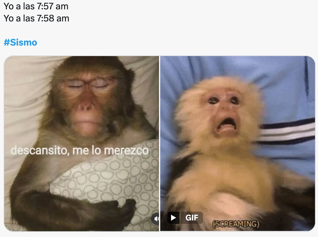 Memes del sismo del 2 de enero 2026