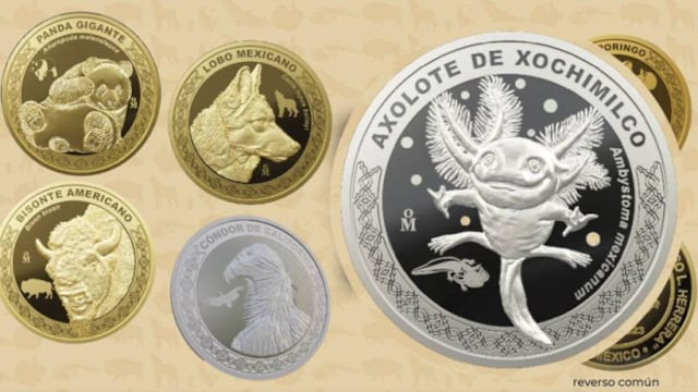 Moneda de ajolote en plata se agotó, pero hay una buena noticia para coleccionistas