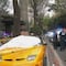 Un accidente con un auto de lujo sobre Avenida Insurgentes terminó trágicamente