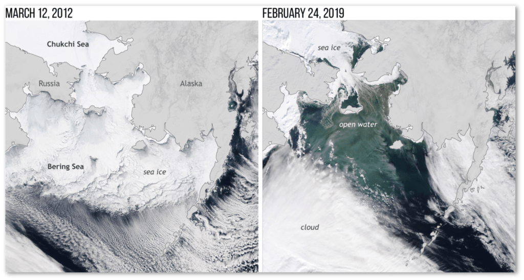 El deshielo ha afectado a la producción de peces en el Mar de Bering
