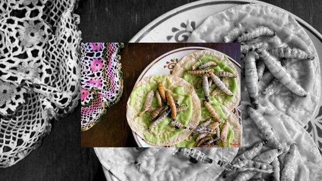 ¡Atrévete a probar diferentes tacos!