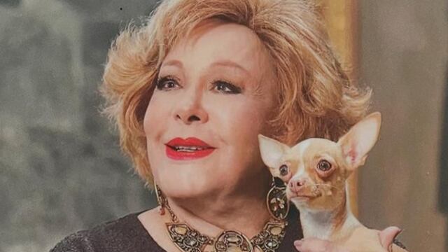 Cosita, la mascota de Silvia Pinal, estará al cuidado de alguien cercano a la actriz