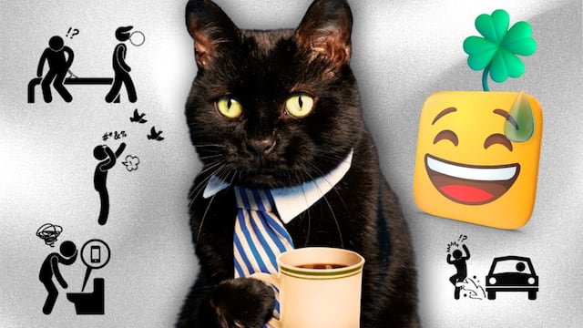 Los gatos negros se vinculan a la superstición del martes 13