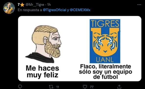 Memes Tigres