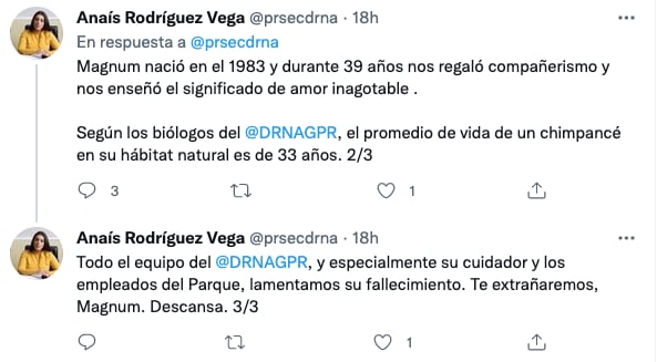 Muere el chimpancé Magnum a los 39 años