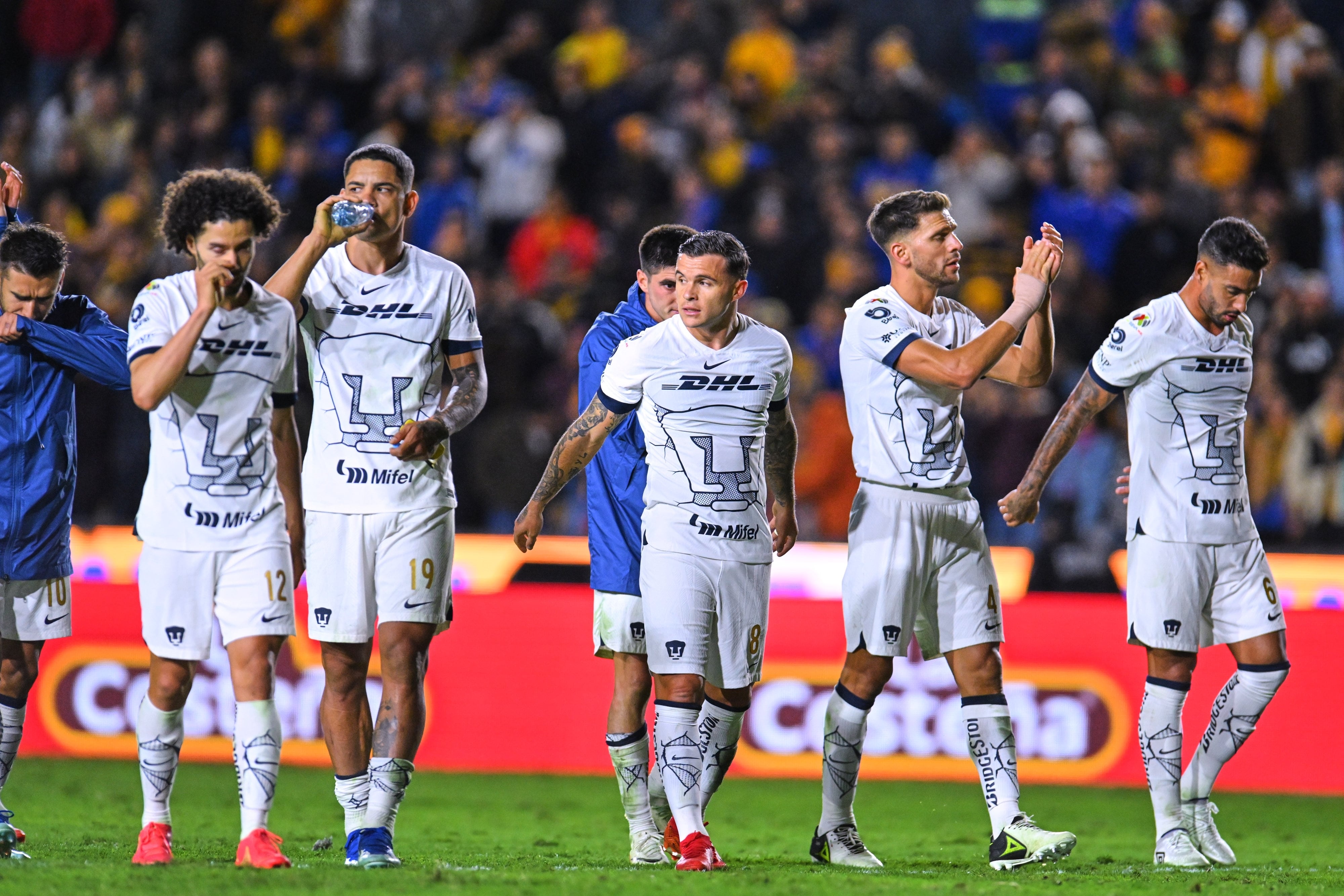 Pumas