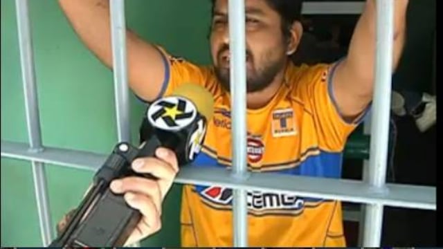 Tigres afición