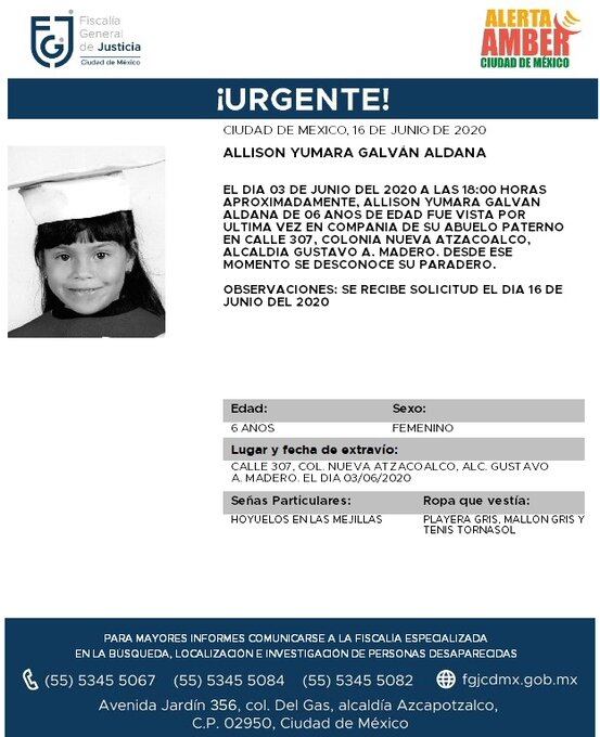 Ficha de búsqueda de Alisson.