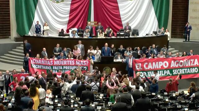 Se desató enfrentamiento en la Cámara de Diputados en comparecencia de Rogelio Ramírez de la O