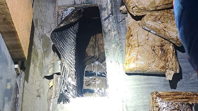 Drogas decomisadas en carretera de Sonora.