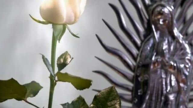 La Rosa de Guadalupe: ¿De qué trata “El amor no es así”?