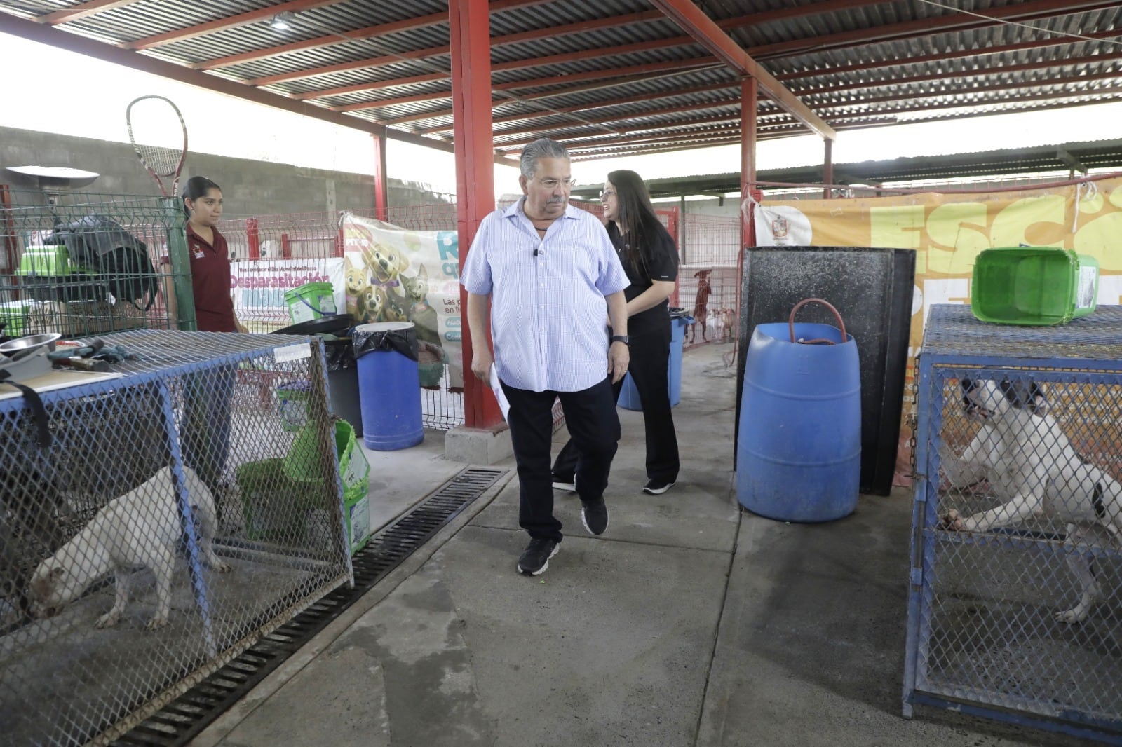 Escobedo fomenta la adopción de perros y gatos rescatados.