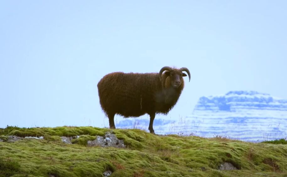 Planeta absurdo, serie de Netflix