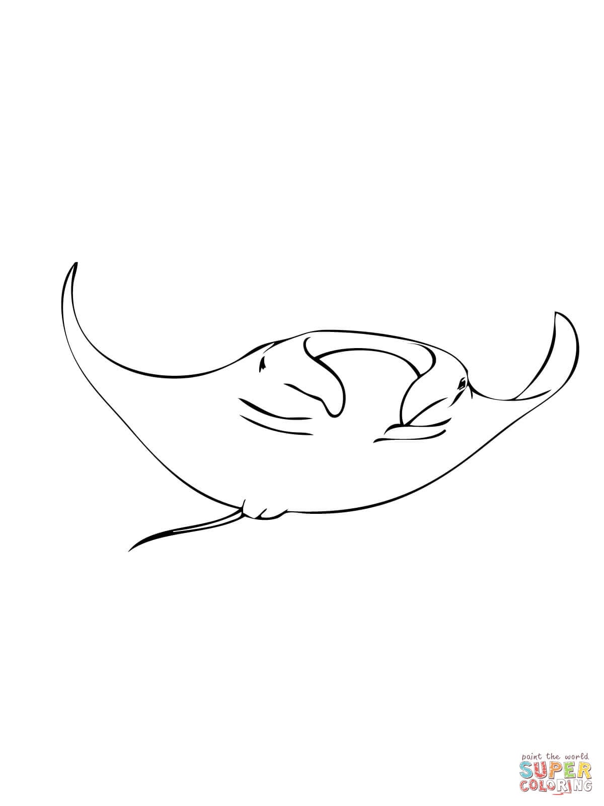 Día de la Mantarraya
