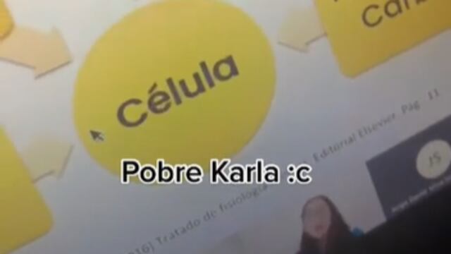 Alumno insulta a su compañera en clase en línea.