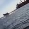 VIDEO: Ballena salta y cae encima de lancha en Topolobampo, Sinaloa