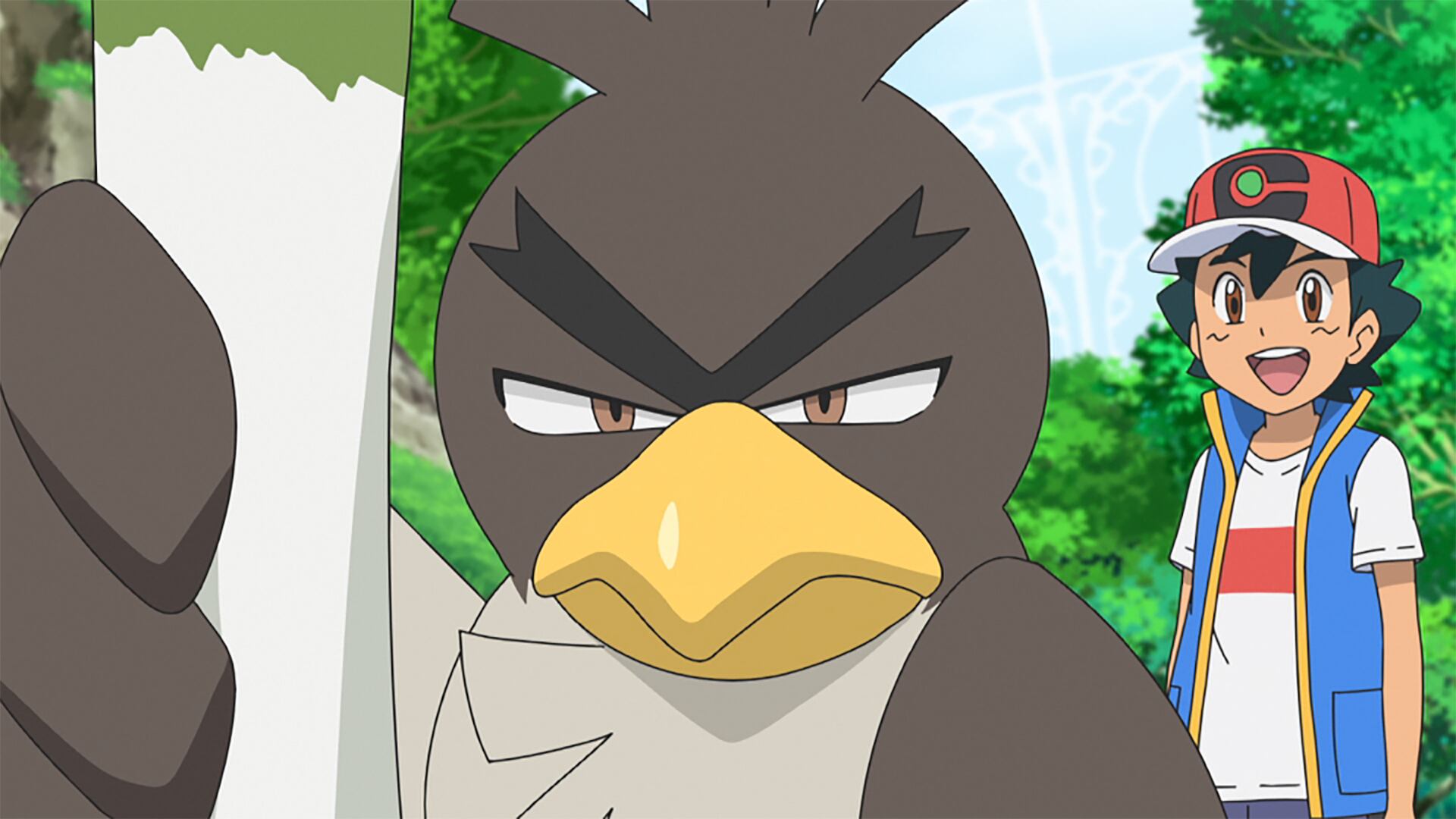 Pokémon Master Journeys