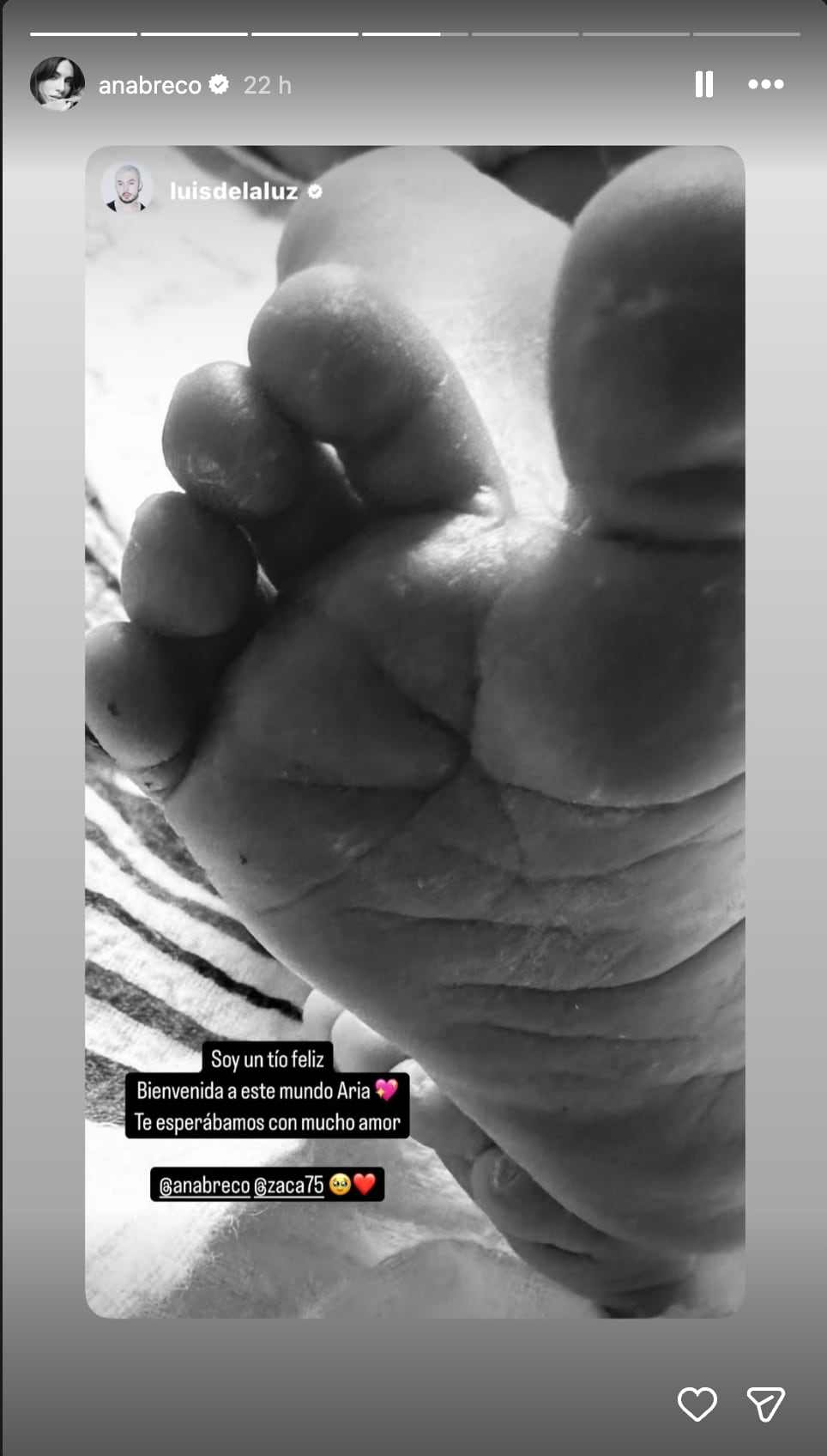 Ana Brenda Contreras