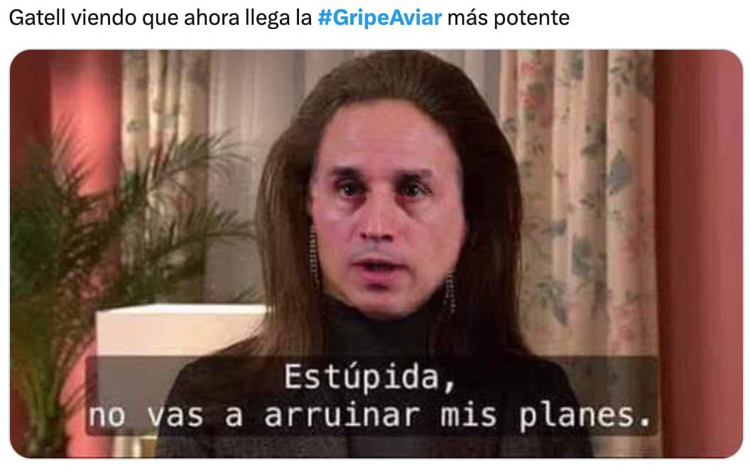 Los memes paranoicos de la gripe aviar en México