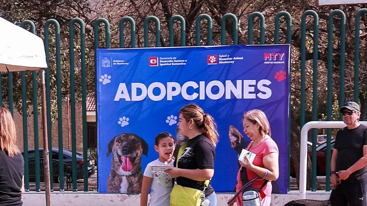 Monterrey promueve el cuidado responsable con Feria de Bienestar Animal