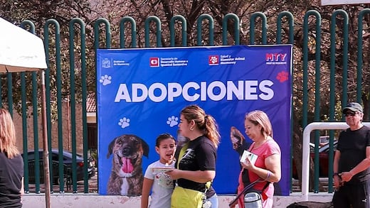 Monterrey promueve el cuidado responsable con Feria de Bienestar Animal