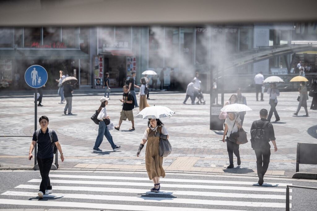Japón