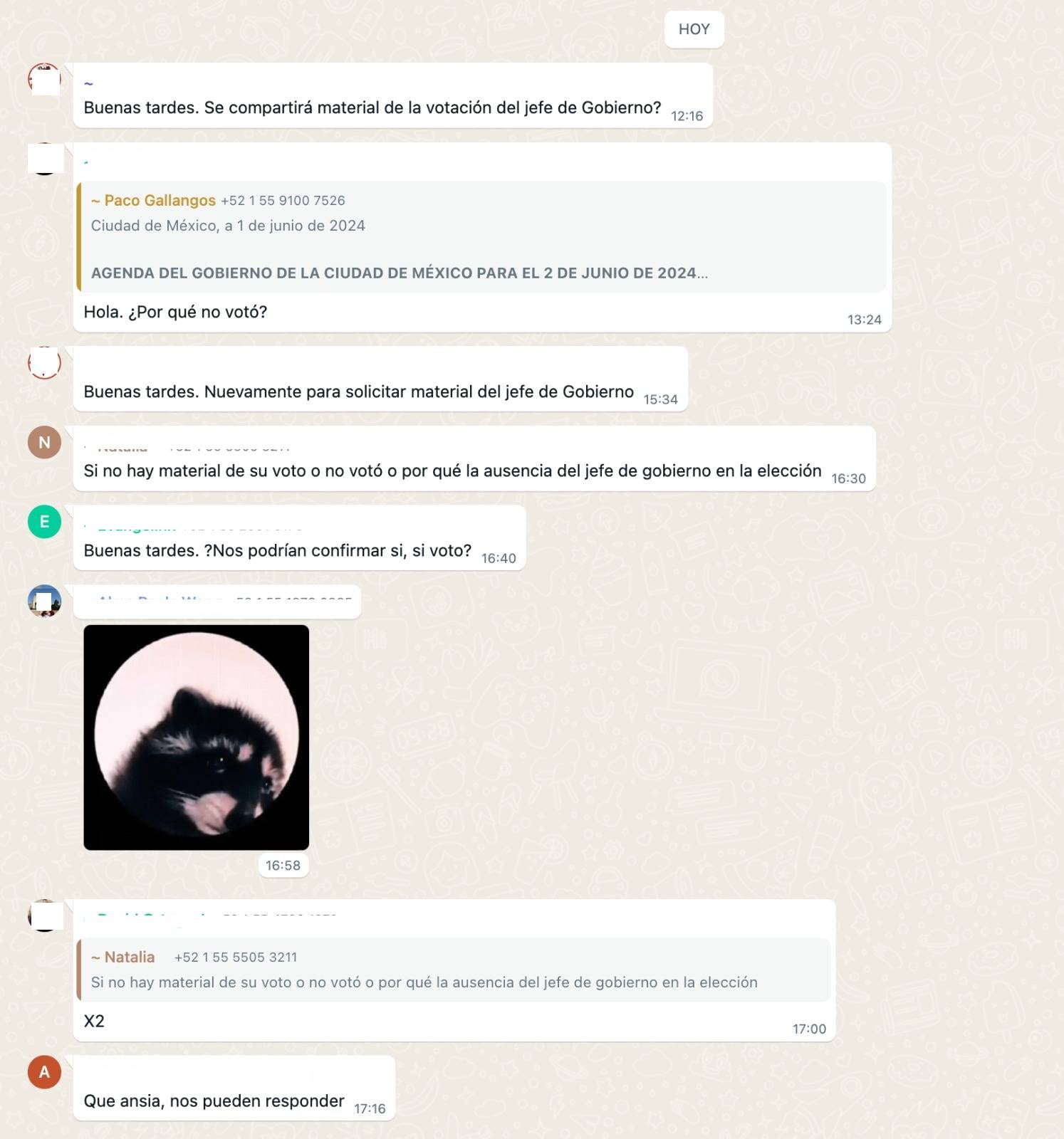 Chat la fuente del gobierno de la CDMX